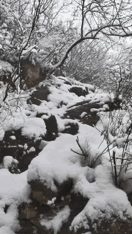 图源：北京日报