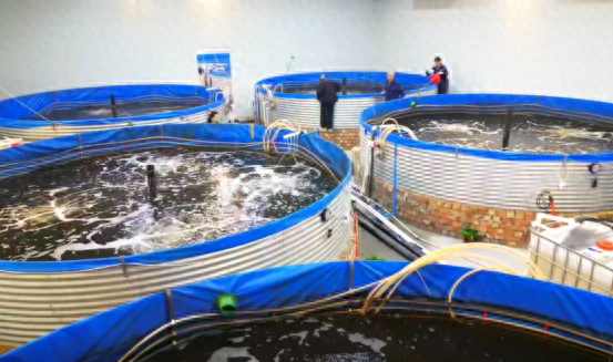 ������ˮ�л�ˮ����ֳũ��רҵ��������ֳ�������ܻ�Ϻ��������� �㣩