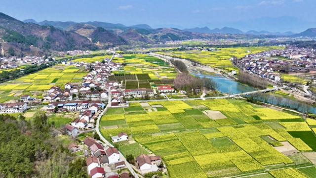 025最美油菜花海汉中旅游文化节今日启幕|汉中市_新浪财经_新浪网