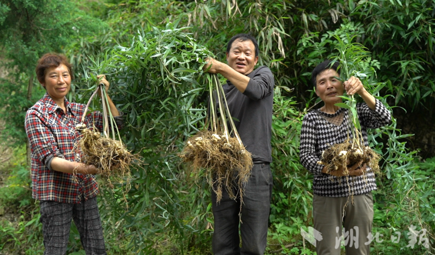房县：加快打造百亿生物医药产业集群-Hypeptide