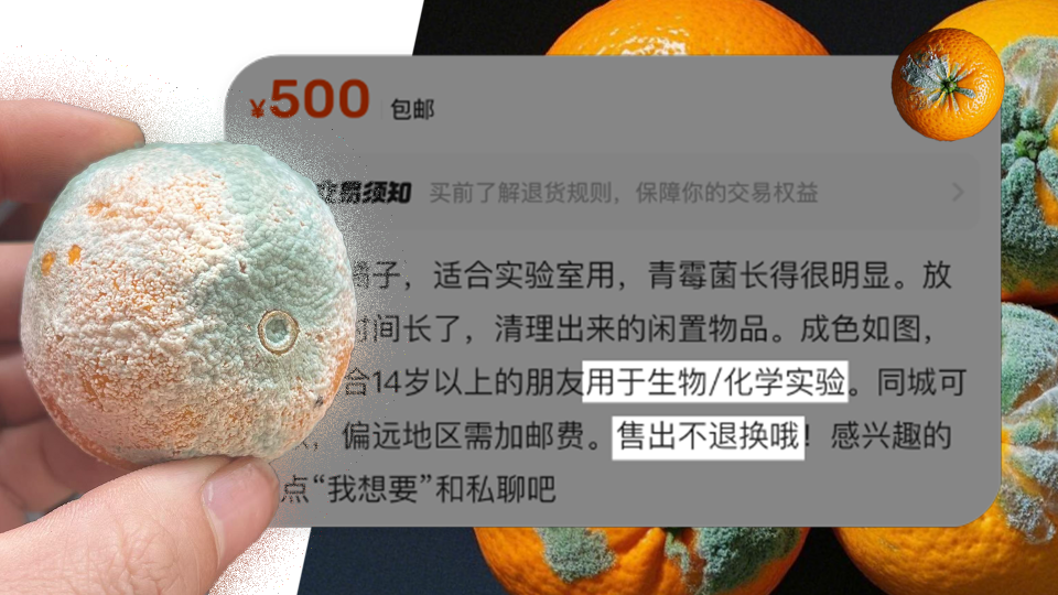科研人员刚需?霉变食物在二手平台上挂天价,专家提醒|科研_新浪新闻