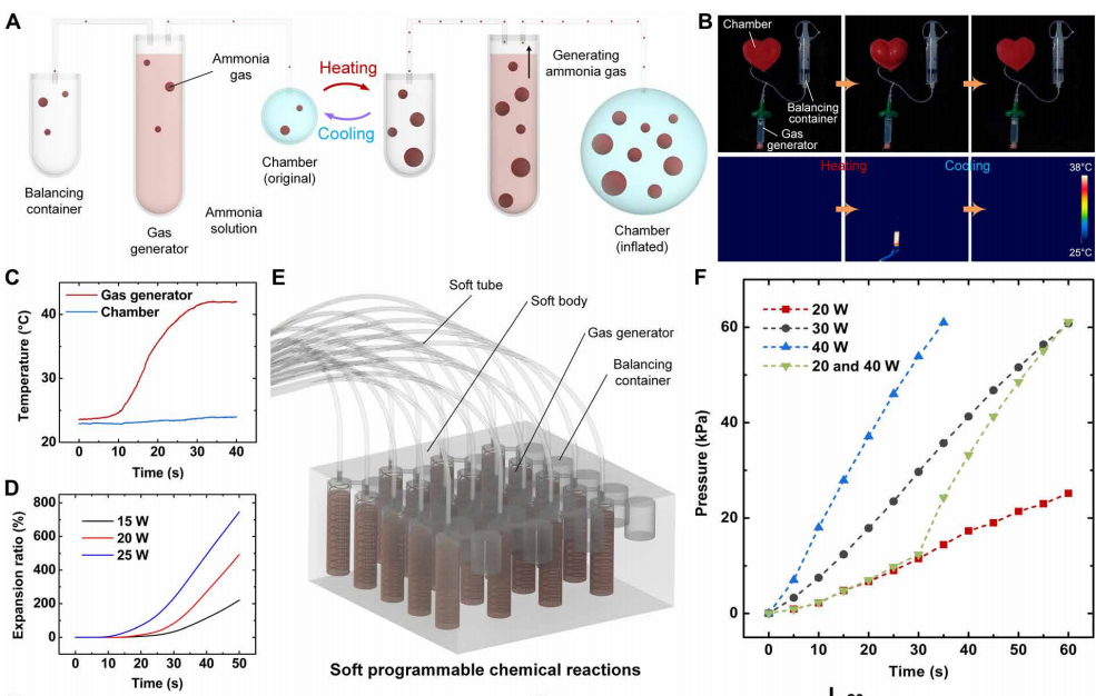 图丨变形和颜色变化的驱动作用（来源：Science Advances）