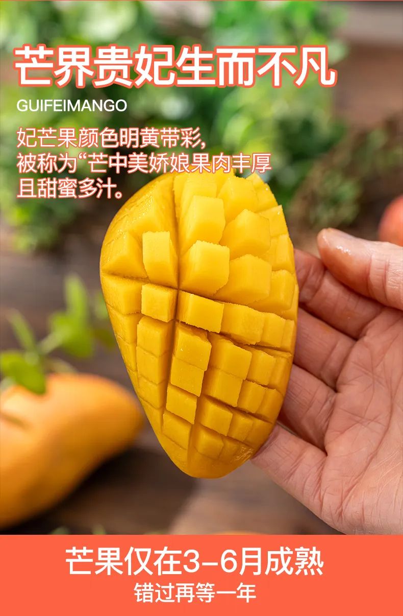 高颜值贵妃芒甜到爆浆!“芒果控”们,冲就对了!|贵妃_新浪财经_新浪网