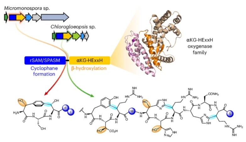 （来源：Nature Chemistry）