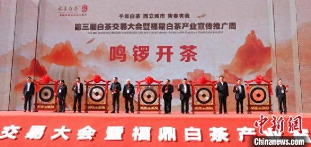 "中国白茶之乡"福建福鼎举办开茶节:品白茶,赏民俗,吃美食