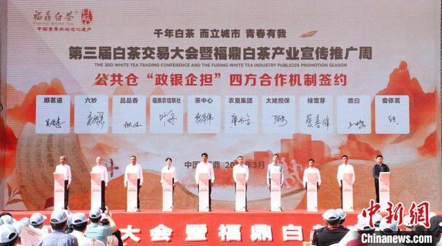 "中国白茶之乡"福建福鼎举办开茶节:品白茶,赏民俗,吃美食