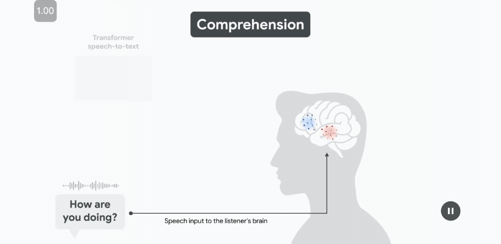 当每个单词发音时，语音嵌入能够预测沿颞上回（STG）的语音区域的皮层活动。
