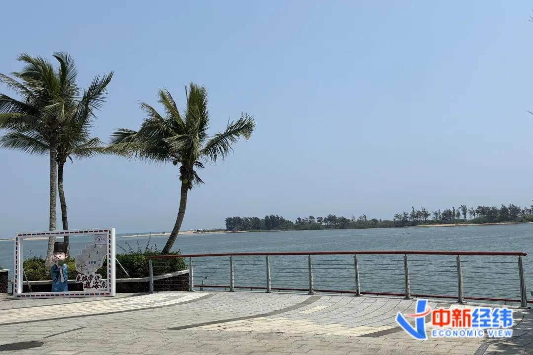 资料图 中新经纬 王玉玲摄