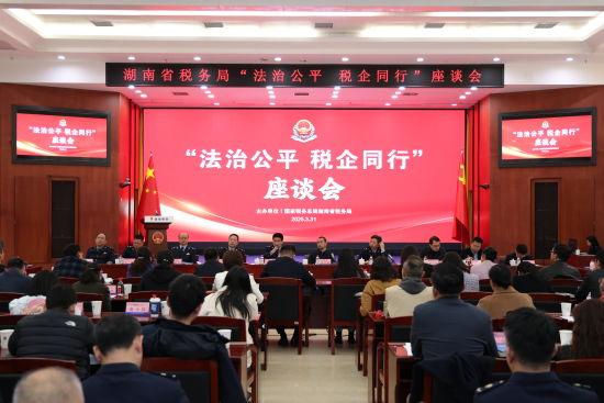 “法治公平 税企同行”座谈会现场。湖南省税务局 供图