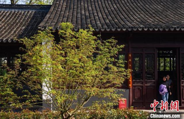 图为市民在崇正书院内参观。中新社记者 泱波 摄