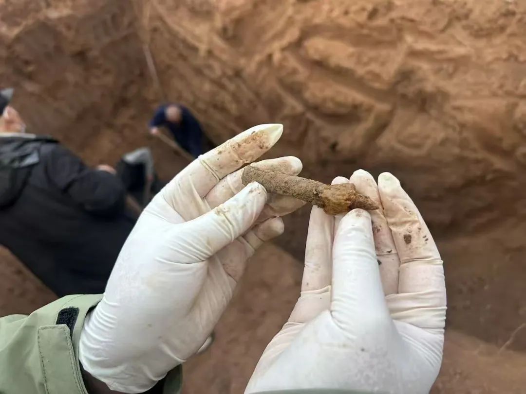 ▲现场发现的子弹。受访者供图