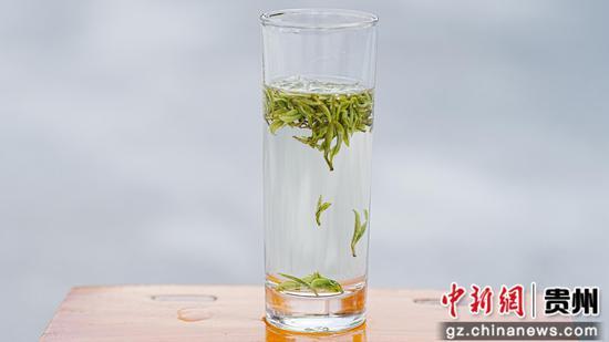 剑河县翁王白茶园今年头茬高山白茶冲泡的茶汤。彭开燚 摄