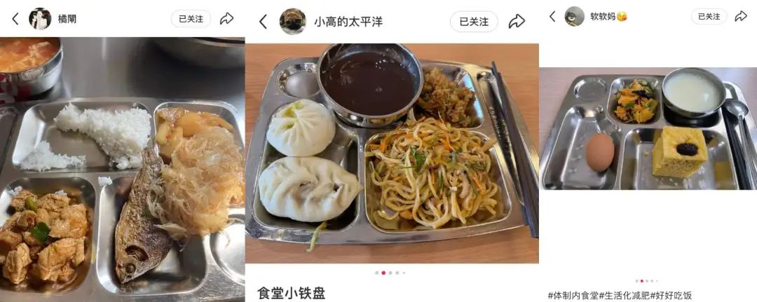 图源：小红书@橘闸、@小高的太平洋、@软软妈😘（均已授权）