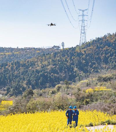四川眉山，国家电网工作人员通过无人机开展输电线路巡检。陈红梅摄