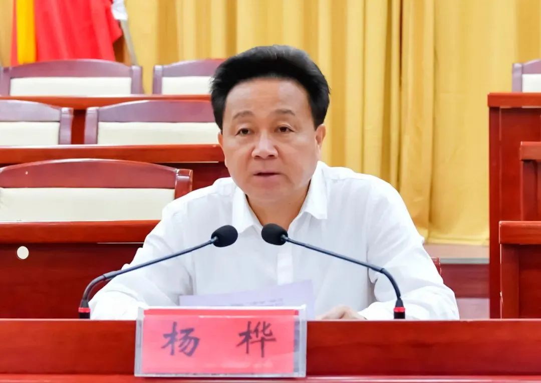 杨桦简历