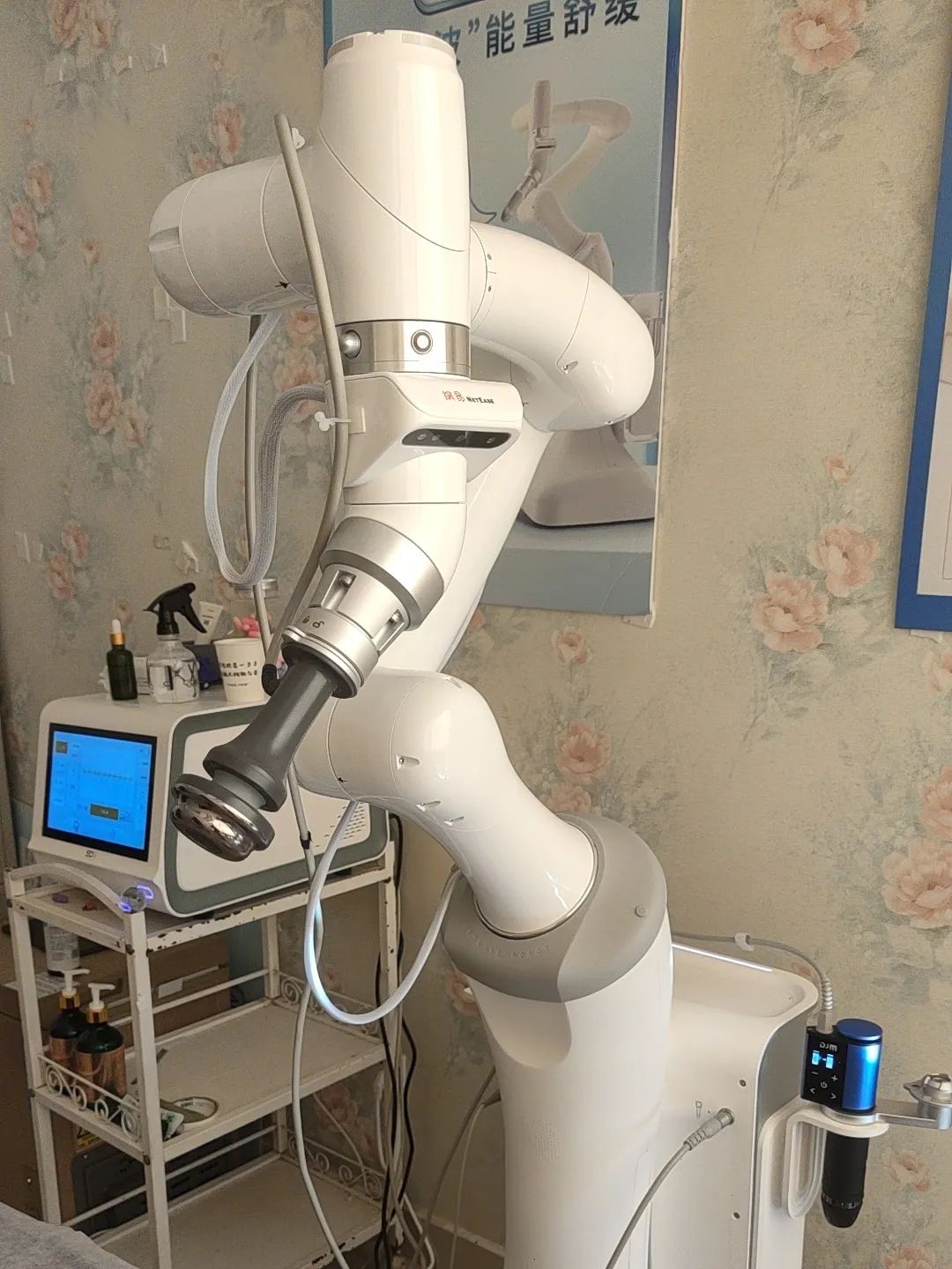 图源：作者供图