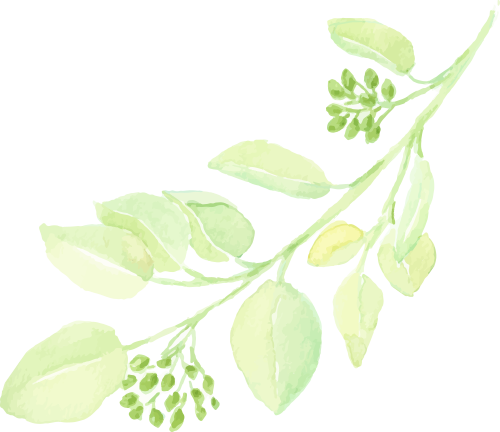 来源：南京市红山森林动物园