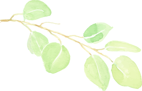 来源：南京市红山森林动物园