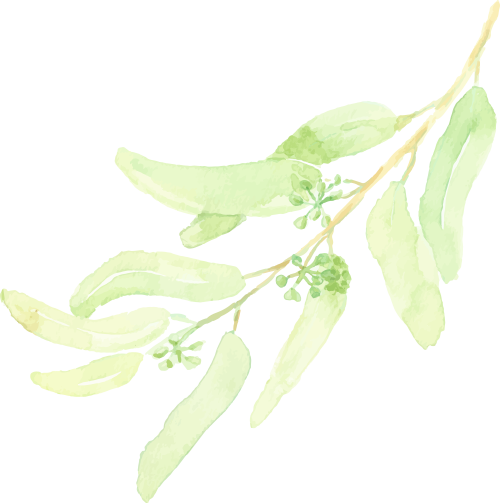 来源：南京市红山森林动物园