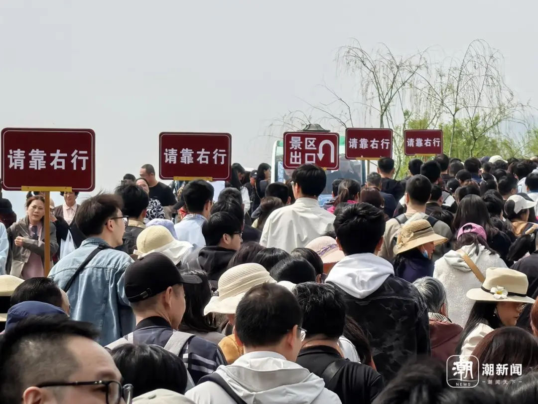 杭州灵隐寺、断桥，图：潮新闻