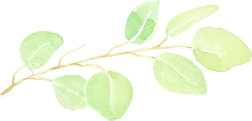 来源：南京市红山森林动物园