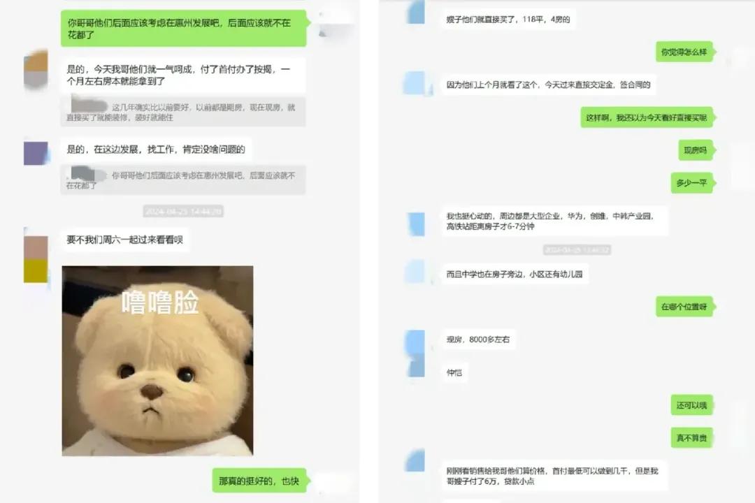 去年 4 月 25 日，刘佳同时在跟两位“男友”介绍楼盘，左图为张益民的聊天记录。讲述者供图