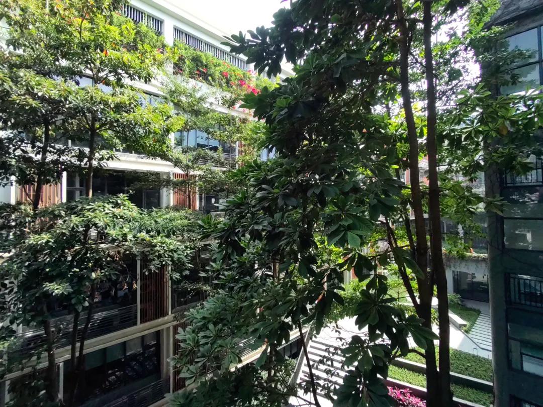 图源：雷科技，超广角样张
