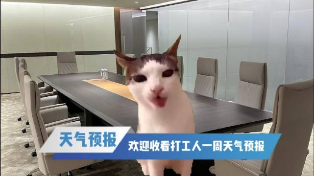 欢迎收看打工人一周的天气预报|昆明市|云南省|猫meme|猫|万达_新浪新闻