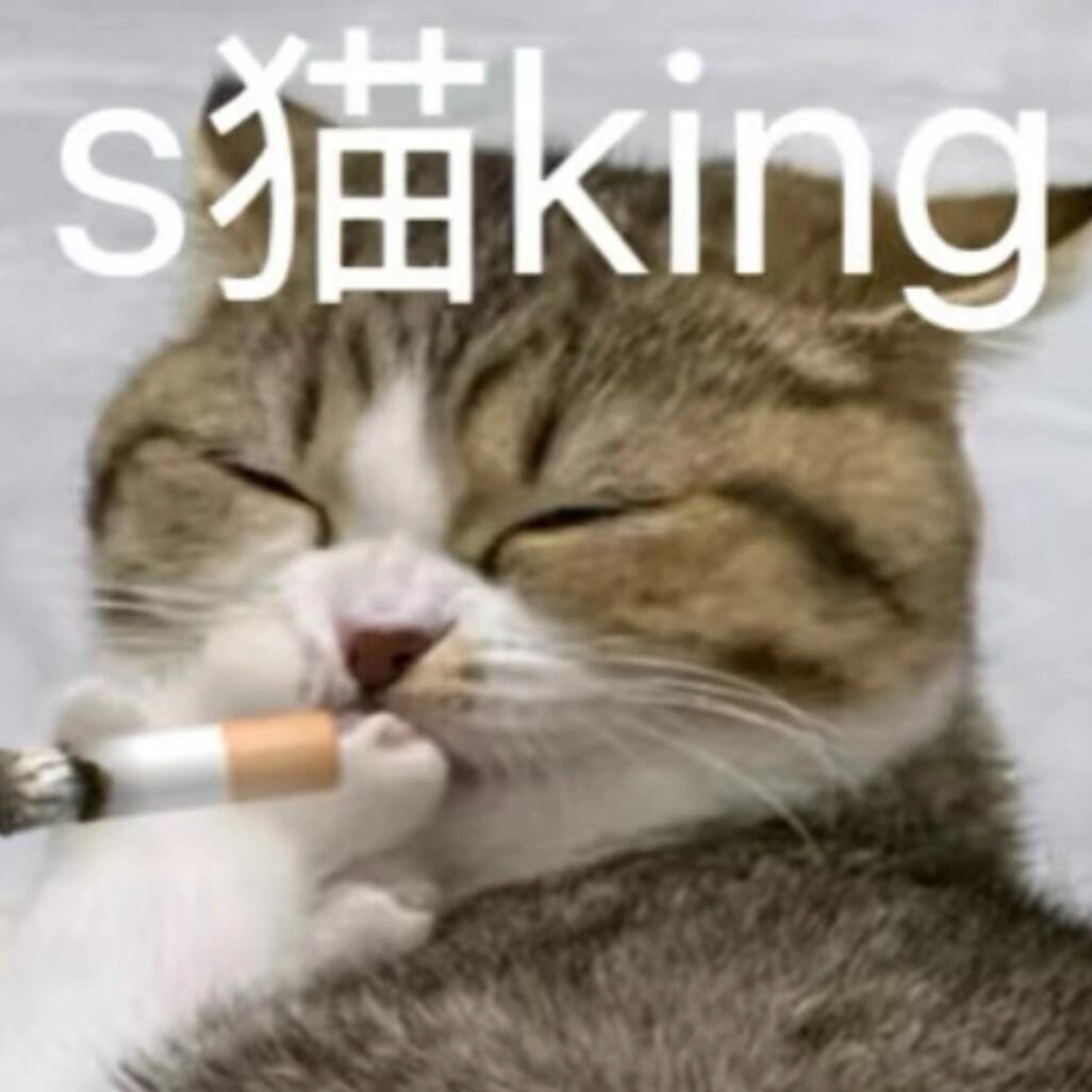 表情包丨小猫表情包合集|猫_新浪新闻