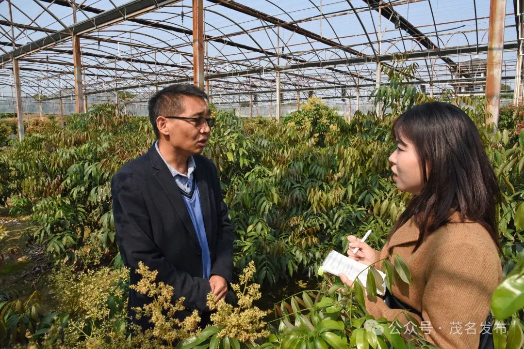 如何用科技创新赋能荔枝产业？茂名这里有答案！|赵俊生_新浪财经_新浪网