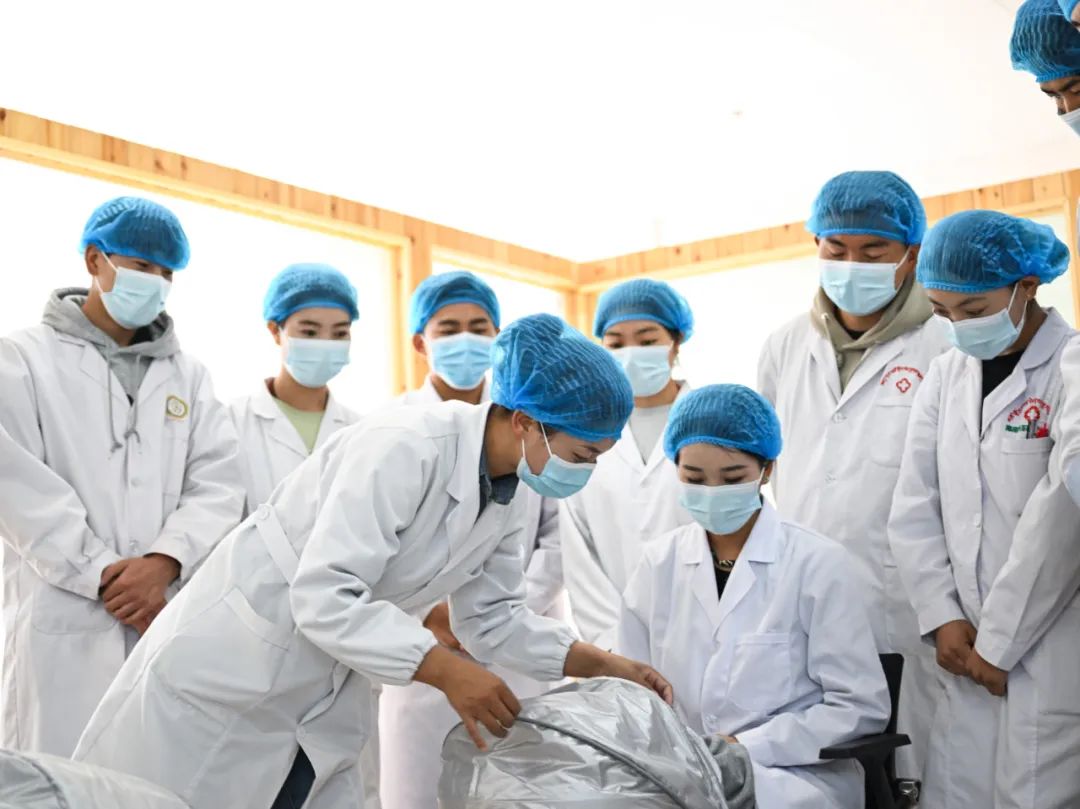 青海省海南藏族自治州职业技术学校藏医药专业教师拉措吉在指导学生学习藏医药传统疗法。新华社记者 张龙 摄