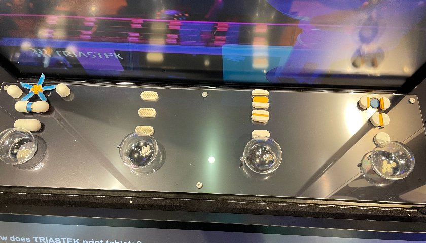 图片开始：三迭纪