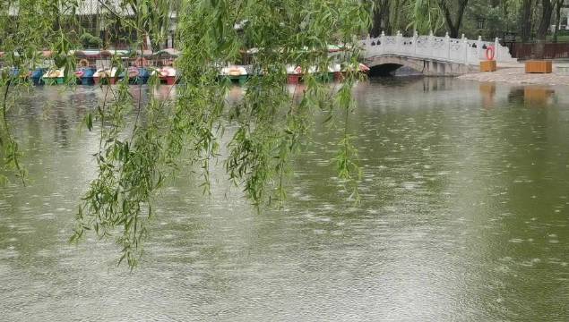 昌平尚未刮风,但开始下雨点儿了_新浪新闻