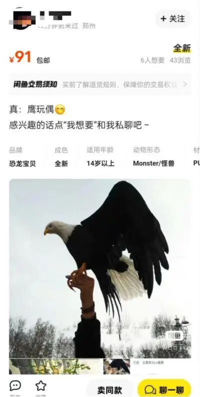 闲鱼平台店铺以卖“鸟玩偶”为名售卖活体野生保护鸟类。图/闲鱼平台截图