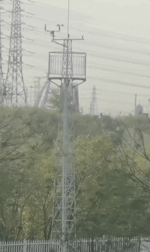 四预警齐发！北京大风进入最强时段|阵风_新浪财经_新浪网