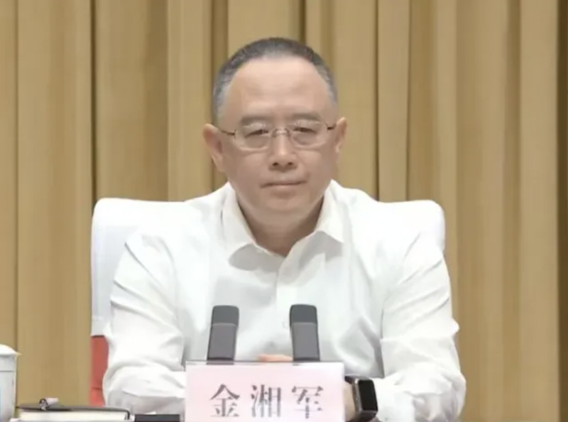 金湘军（资料图）