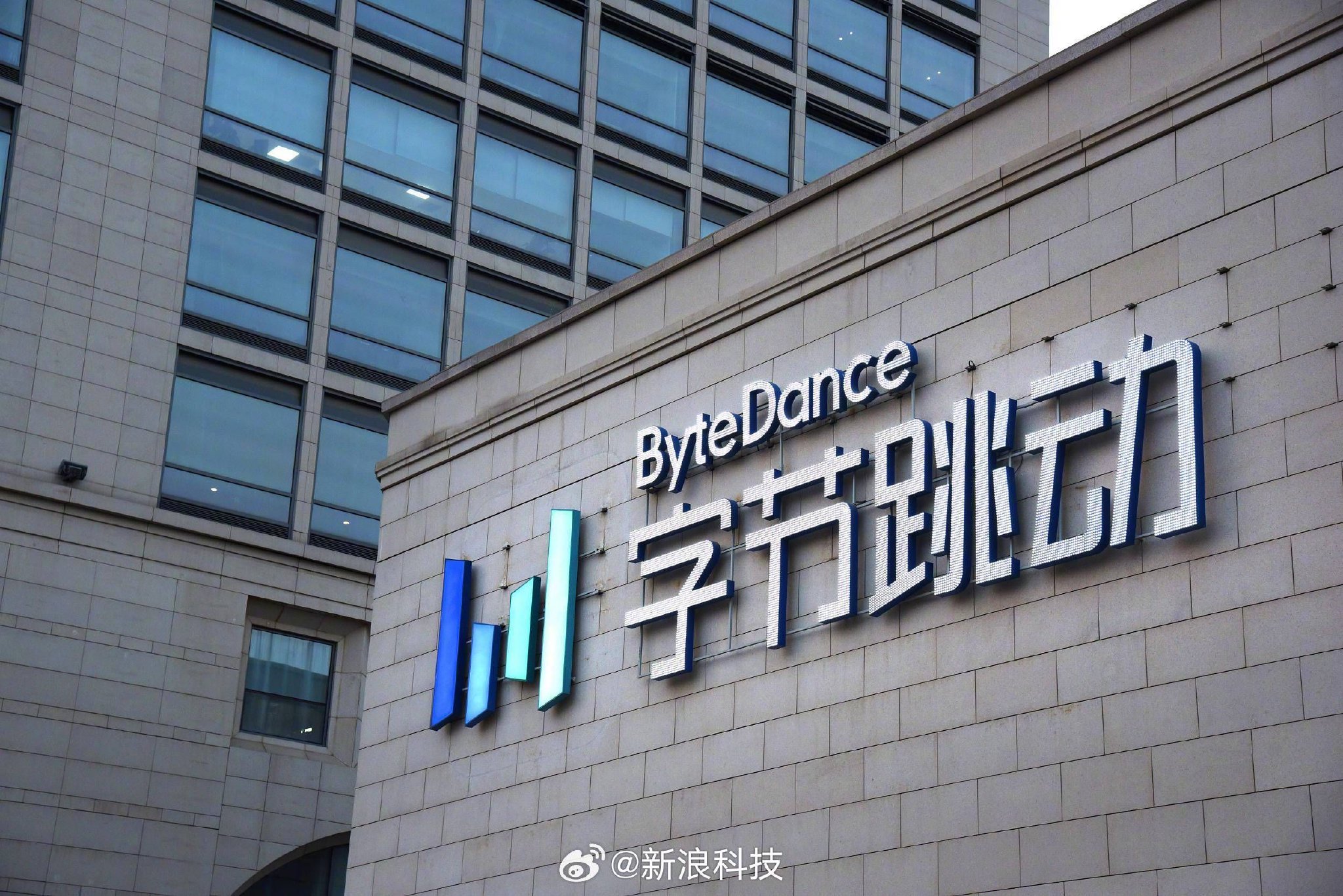 seo优化网站排名下降