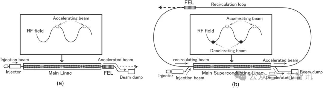 △(a) 普通直线加速器 和 (b) 能量回收直线加速器示意图。