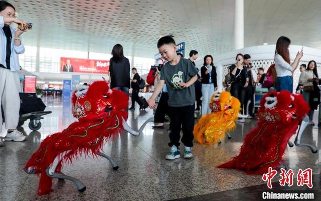 图为一位小朋友与机器狗互动。中新社记者 张畅 摄