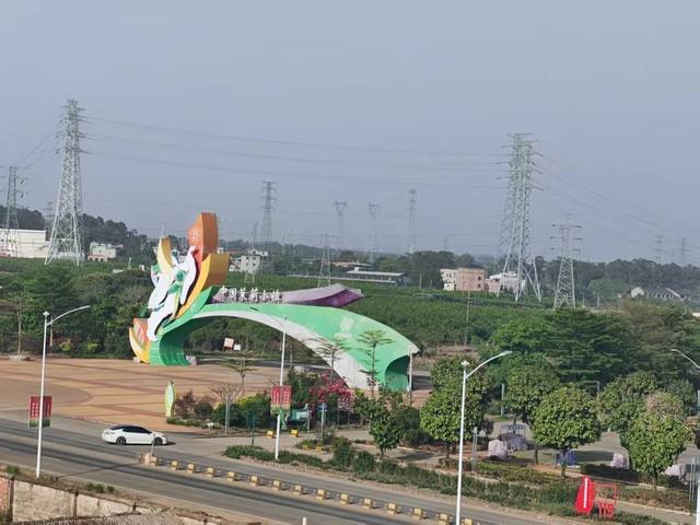 横州茉莉花小镇 澎湃新闻记者 谭君 图