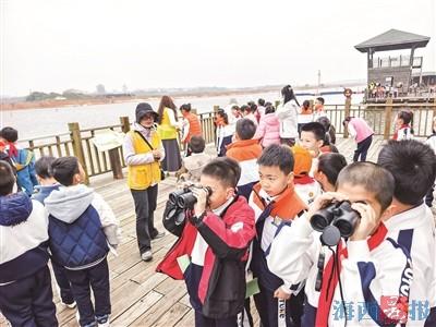 厦门外国语学校附属小学学生观察鸟类习性。记者 陈理杰 摄