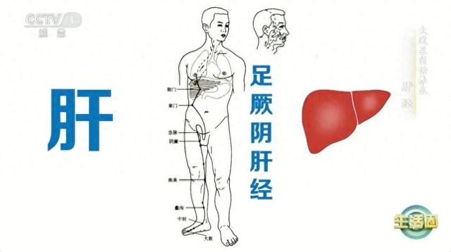 春季养肝=养命！肝不好的人 身体这两处会有异常