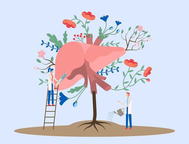 春季养肝=养命！肝不好的人 身体这两处会有异常