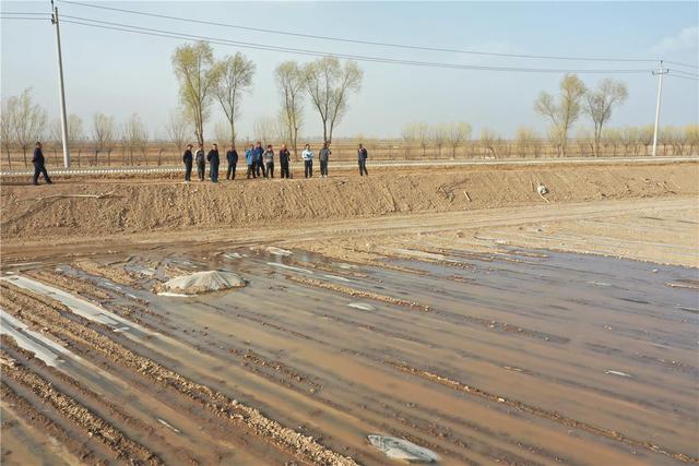 黄河水流入农田（资料图） 谢佳卉 摄。
