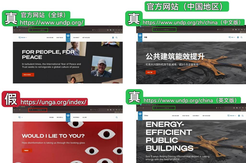 “四川中青东谈主才科技辩论院”伪造网站与UNDP官方网站的对比图。图片起首:趋承国微信公众号