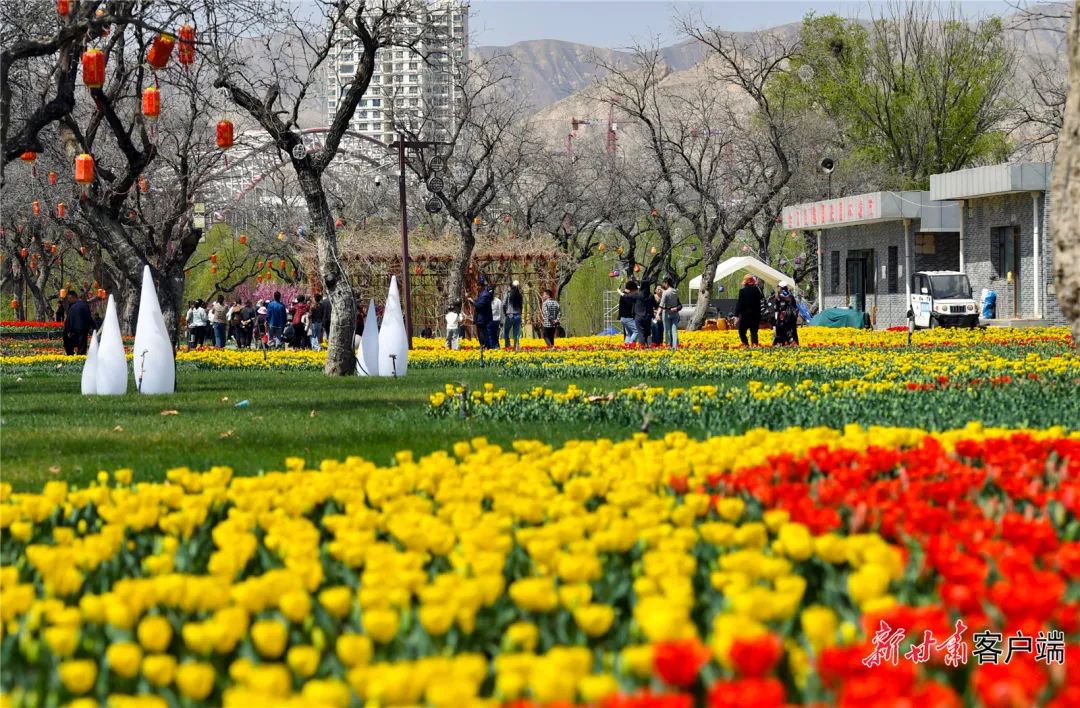 来源：新甘肃客户端（新甘肃·甘肃日报记者 马伊星）