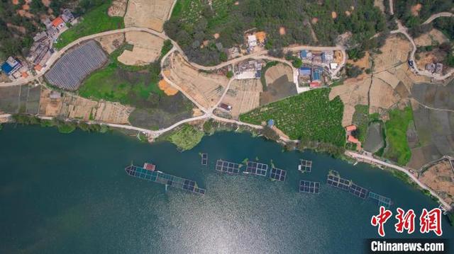 广西梧州市蒙山县陈塘镇福利村，青山绿水与农田、房舍相互映衬，宛如画卷。张海斌 摄