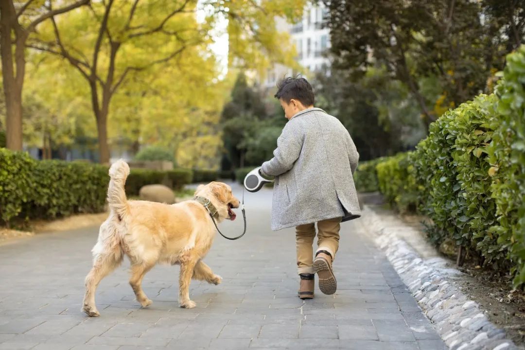 图源：视觉中国