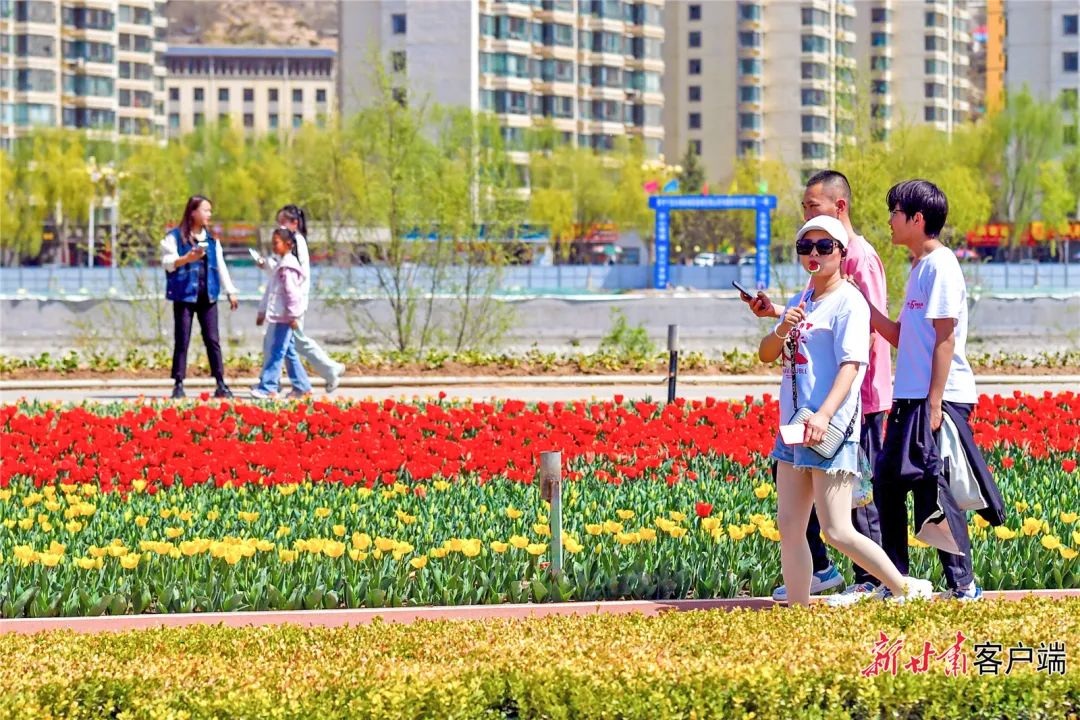 来源：新甘肃客户端（新甘肃·甘肃日报记者 马伊星）