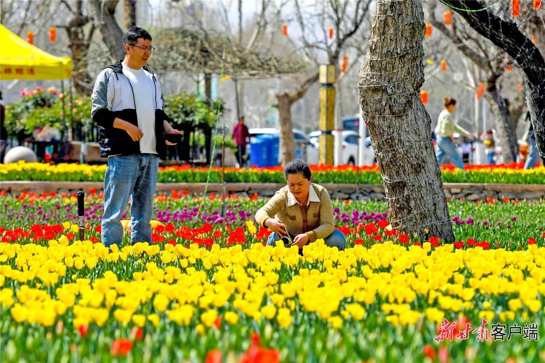 来源：新甘肃客户端（新甘肃·甘肃日报记者 马伊星）